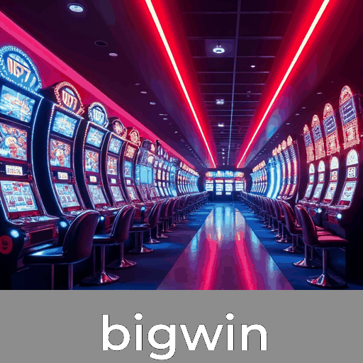 Descubra os Benefícios e Serviços Profissionais do Bigwin
