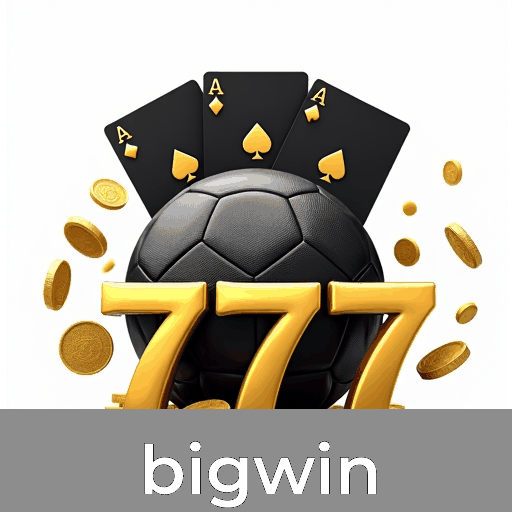 Descubra os Benefícios e Serviços Profissionais do Bigwin